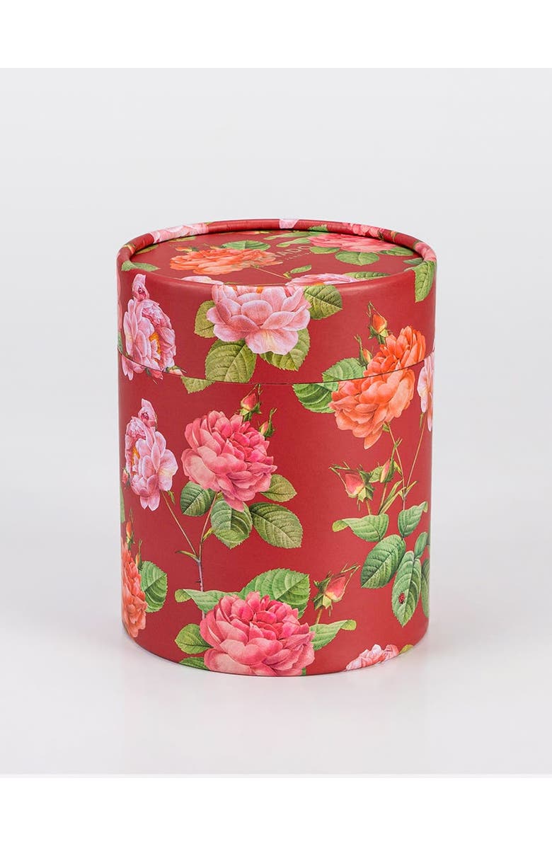 GRANADO Rosa Damascena Paper Box Kit, Alternate, color, Clear