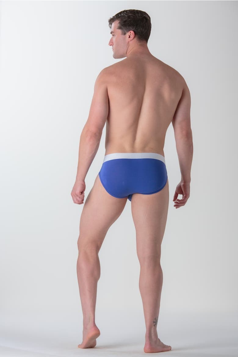 WOH Sexy Fun Mini Briefs, Alternate, color, Blue