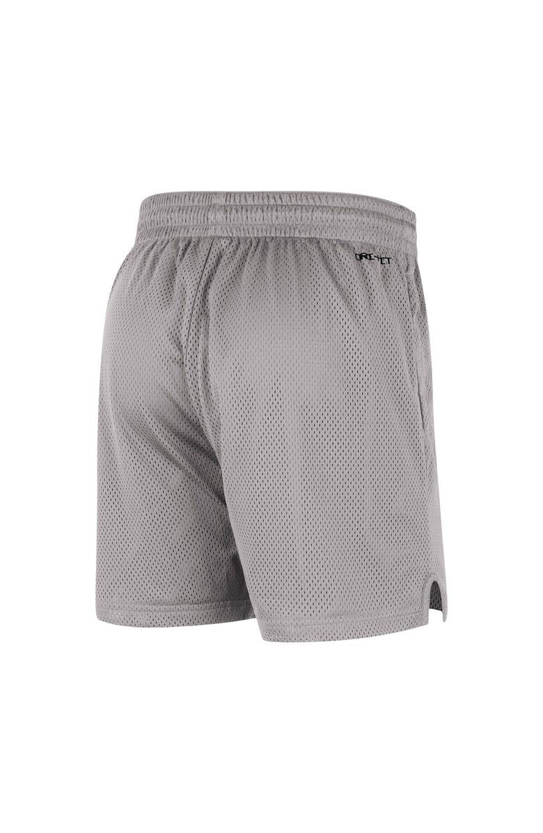Nike Men's Nike Gray LSU Tigers Mesh Performance Shorts, Alternate, color, 