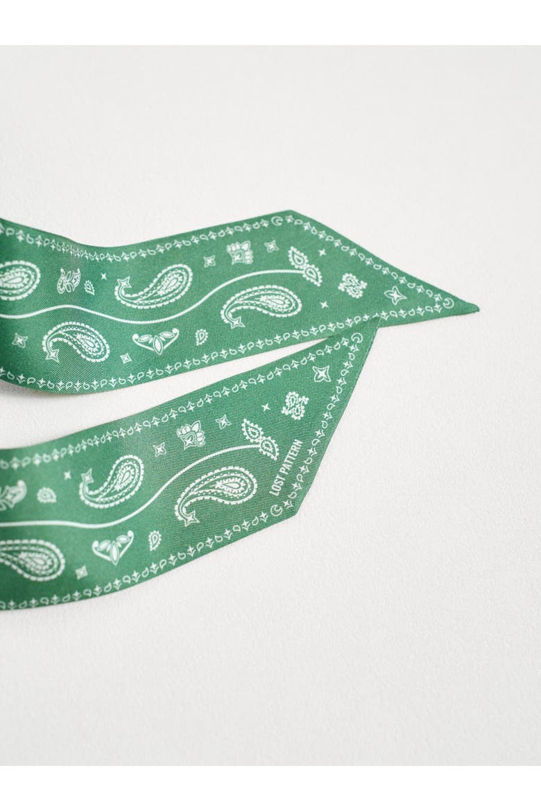 "Paisley" Silk Twill Skinny Scarf, Alternate, color, Sagebrush Green