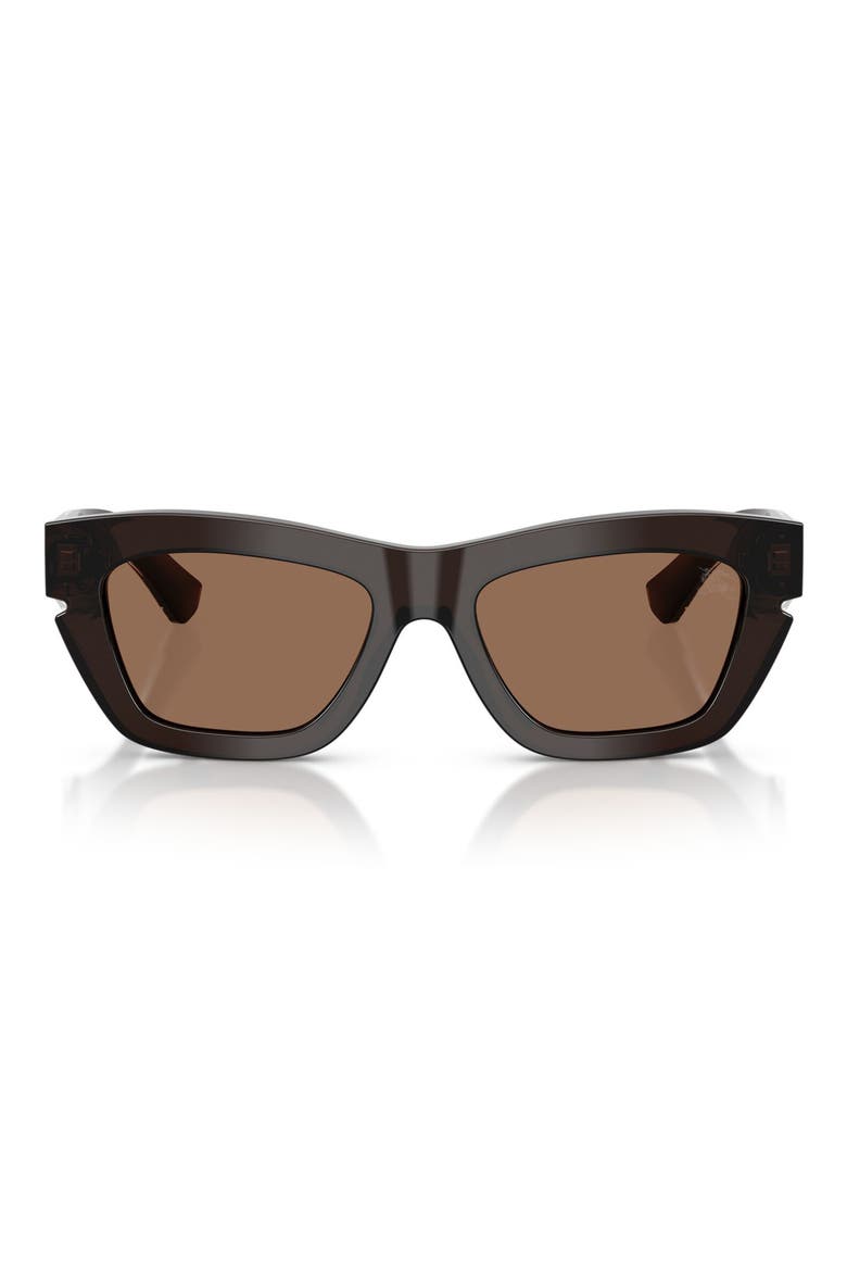 51mm Cat Eye Sunglasses, Main, color, BROWN