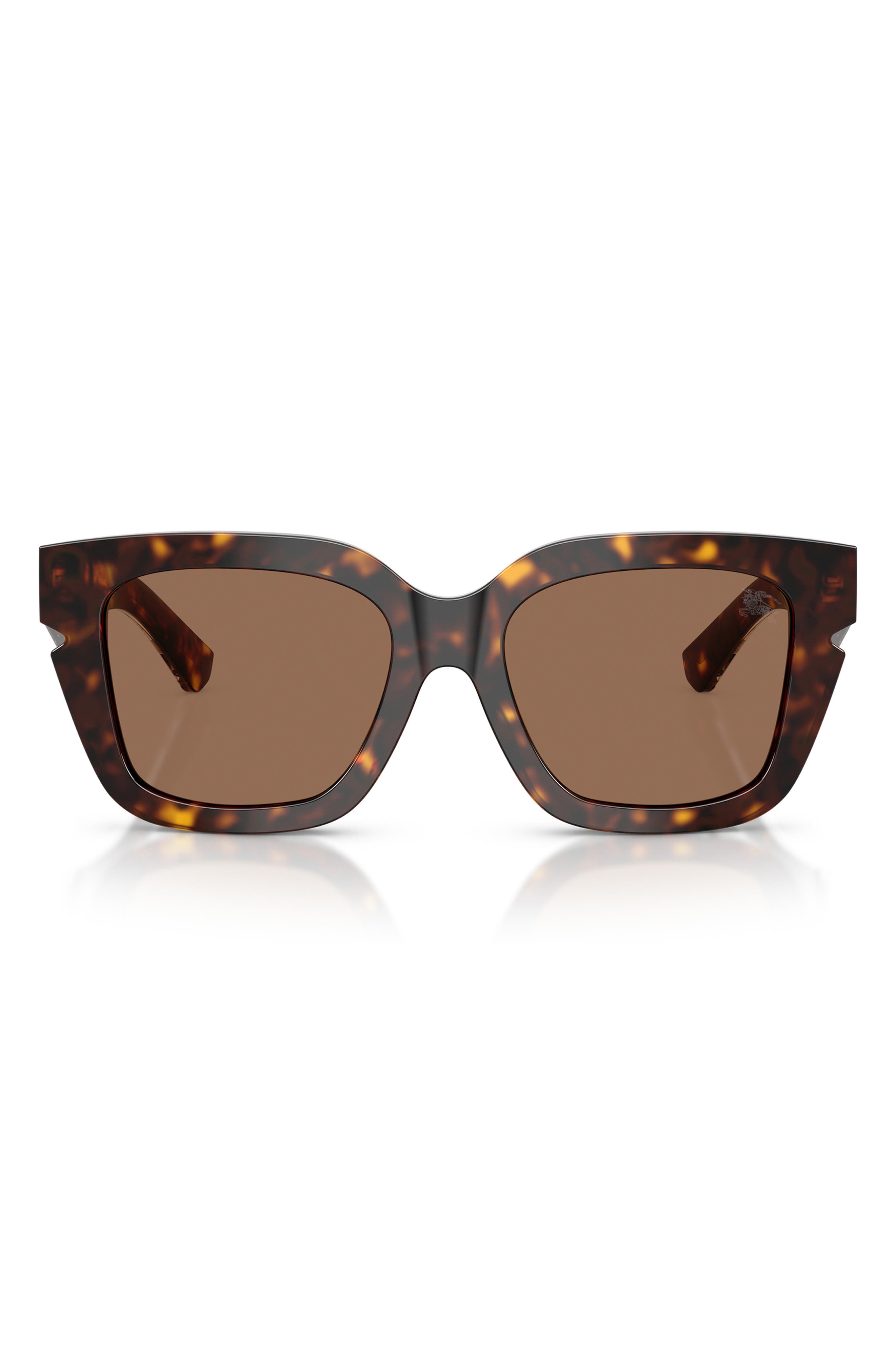 DARK HAVANA / DARK BROWN