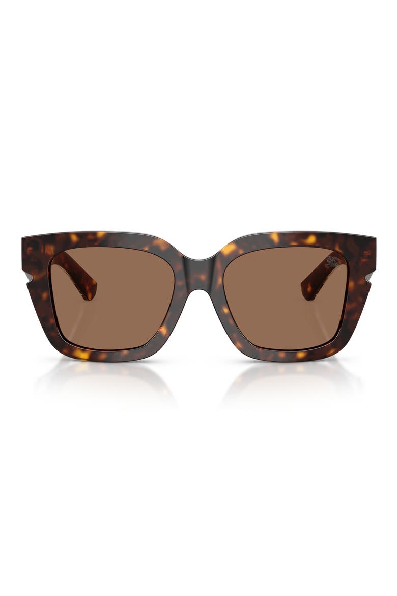 54mm Square Sunglasses, Main, color, DARK HAVANA / DARK BROWN
