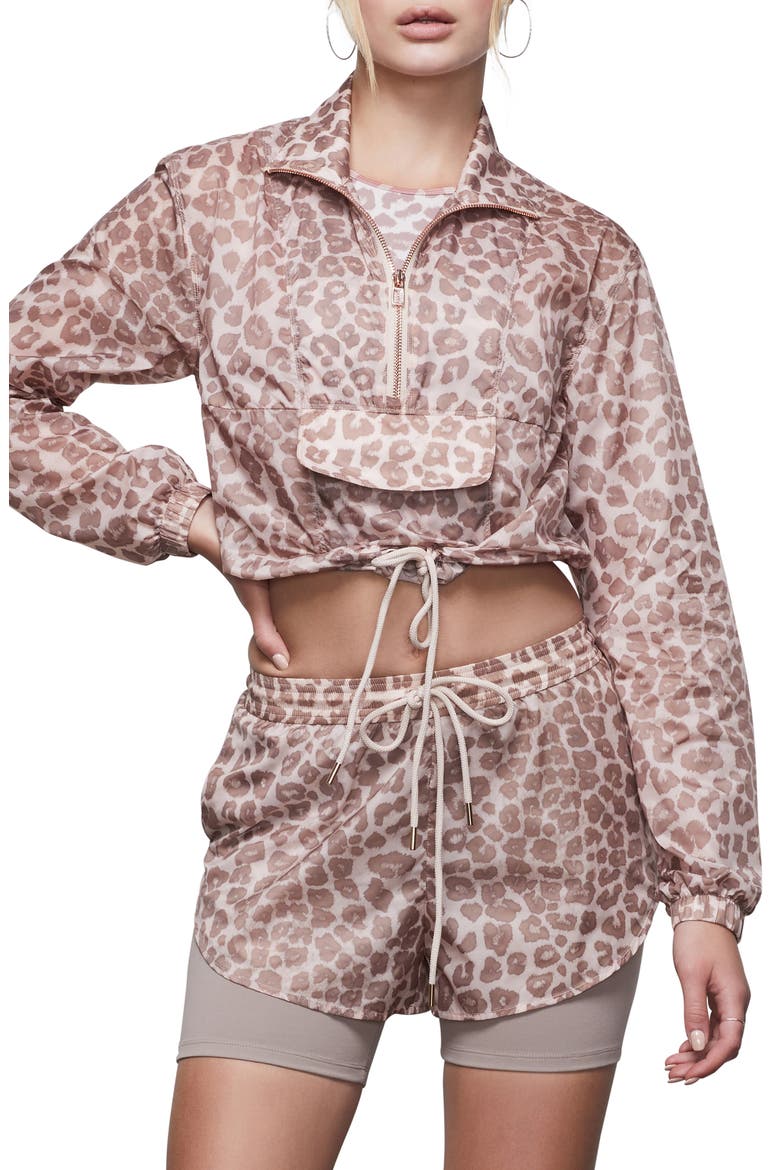 Leopard Print Sheer Half Zip Pullover, Main, color, DESERT LEOPARD