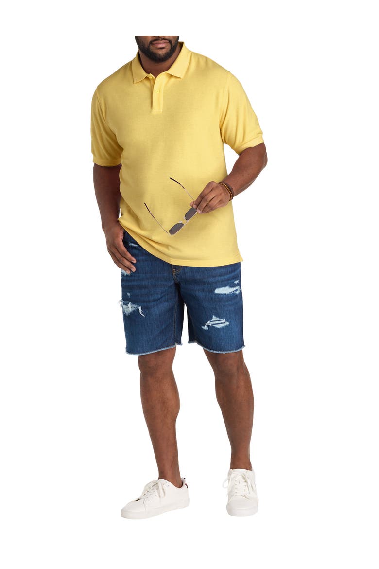 Big & Tall Garment-Dyed Polo Shirt, Alternate, color, LEMON DROP