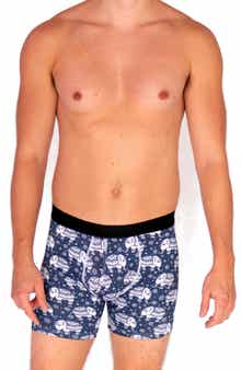 WARRIORS AND SCHOLARS Hati Boxer Briefs
