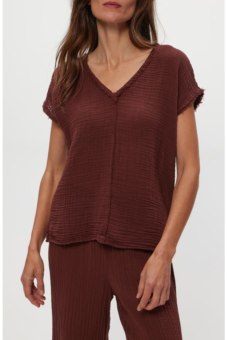 Draya V-Neck T-Shirt, Main, color, ESPRESSO