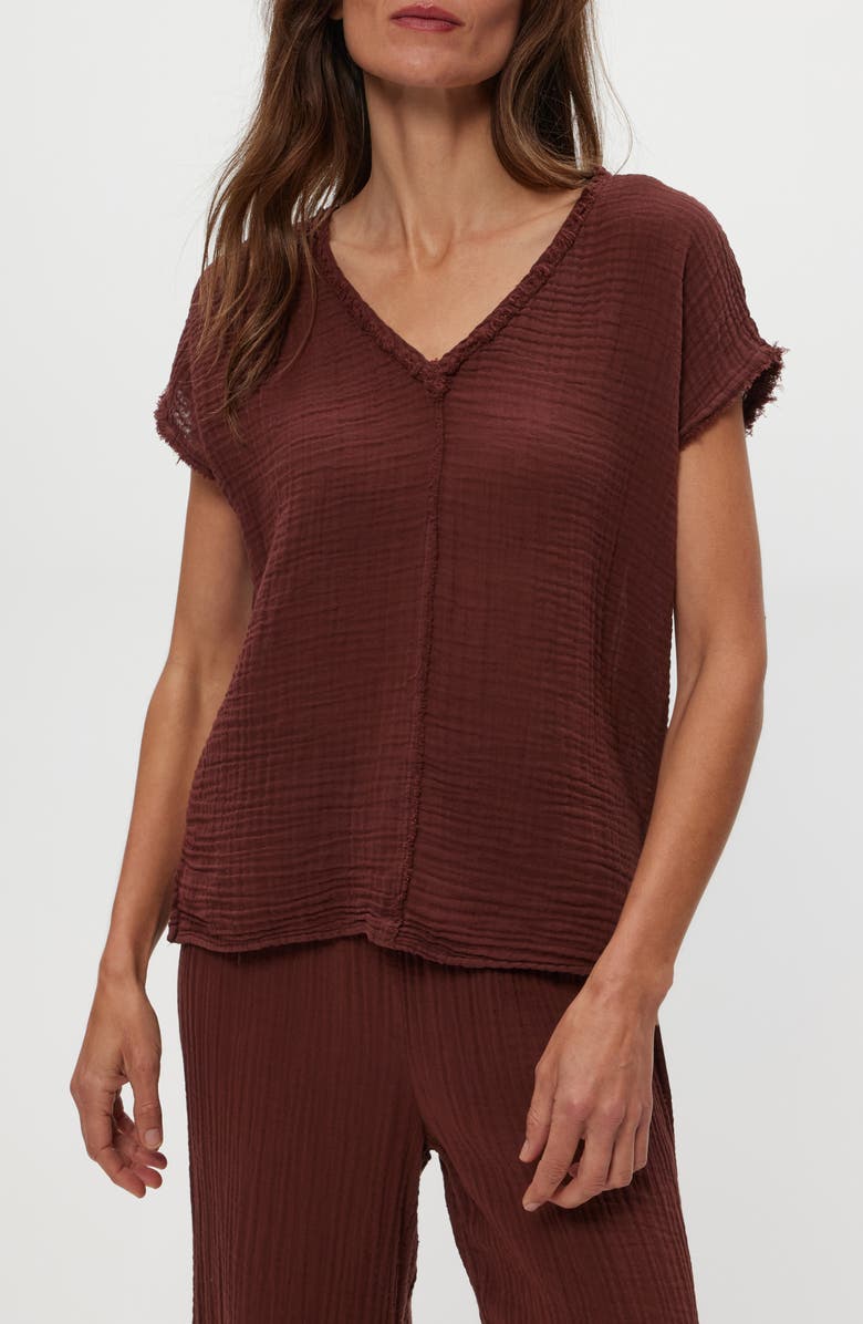 Michael Stars Draya V-Neck T-Shirt, Main, color, Espresso