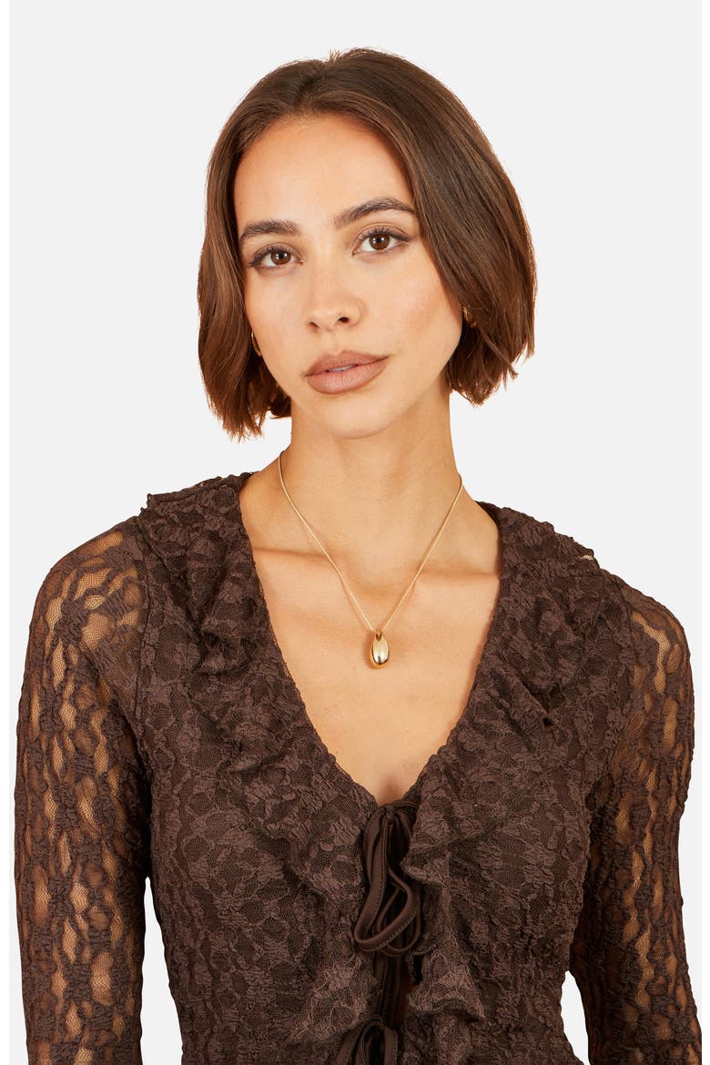 Sheer Long Sleeve Ruffle Lace Top, Alternate, color, Brown
