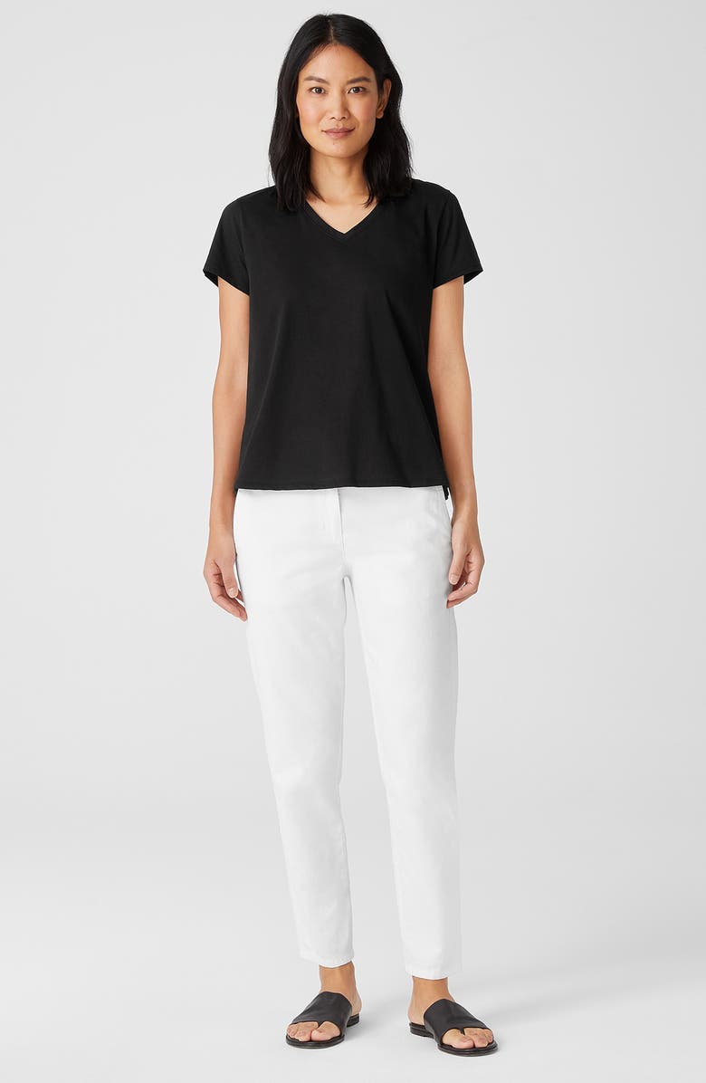 Eileen Fisher Organic Cotton V-Neck T-Shirt, Alternate, color,