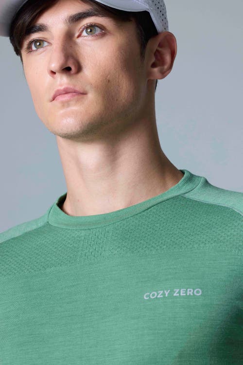 Cozy Zero Tech Merino Classic Fit Long Sleeve Top In Smoke Green