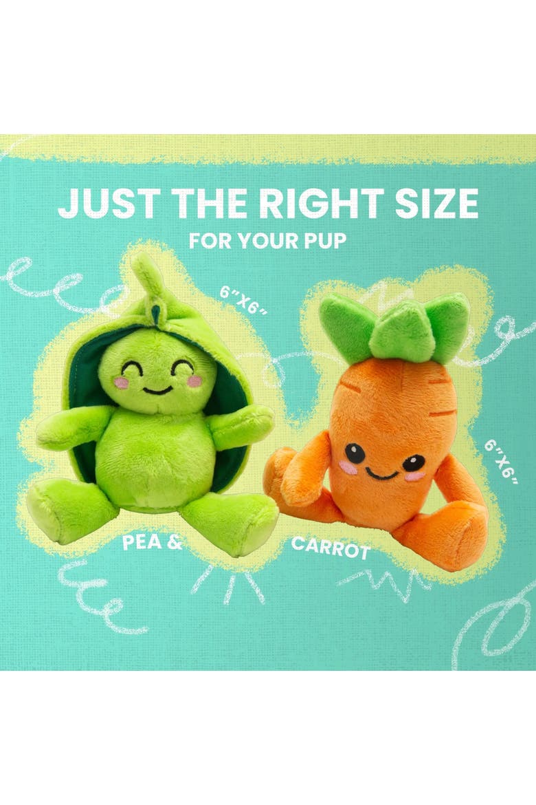 2 Pack Plush Dog Toys, Alternate, color, Multicolored