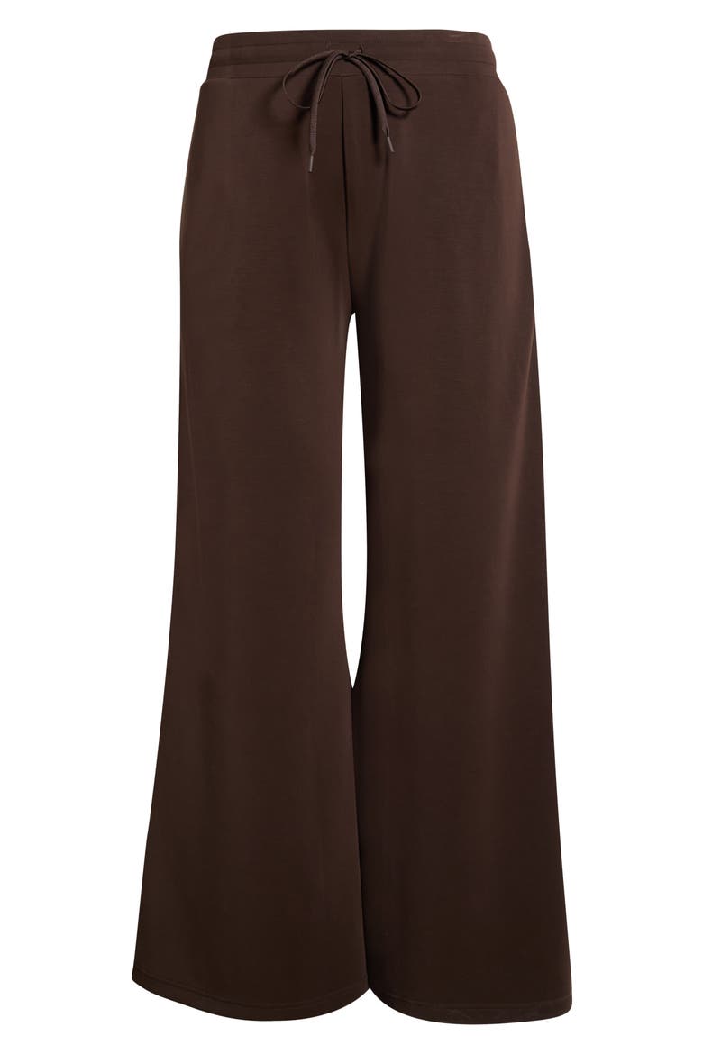 Soft Luxe Wide Leg Pants, Alternate, color, BROWN MOLE'