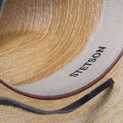 Stetson Bryce Hat In Brown