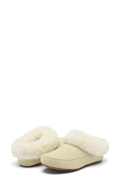 Sorel Go Coffee Run Faux Fur Slipper In Green