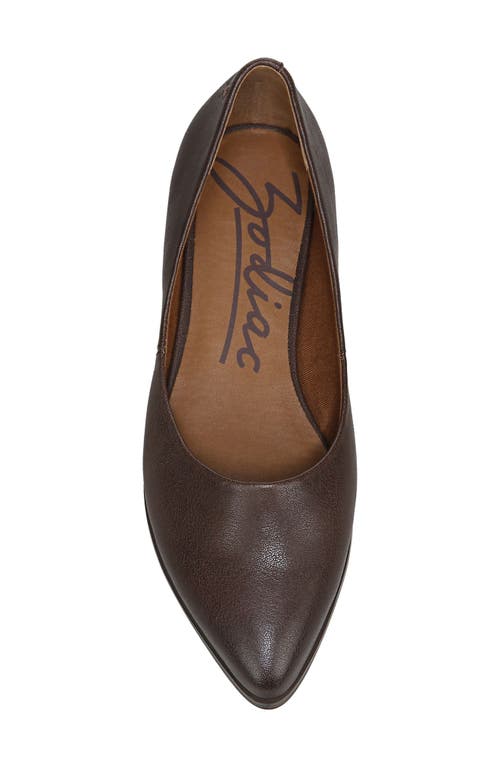 ZODIAC ZODIAC HILL POINTY TOE FLAT