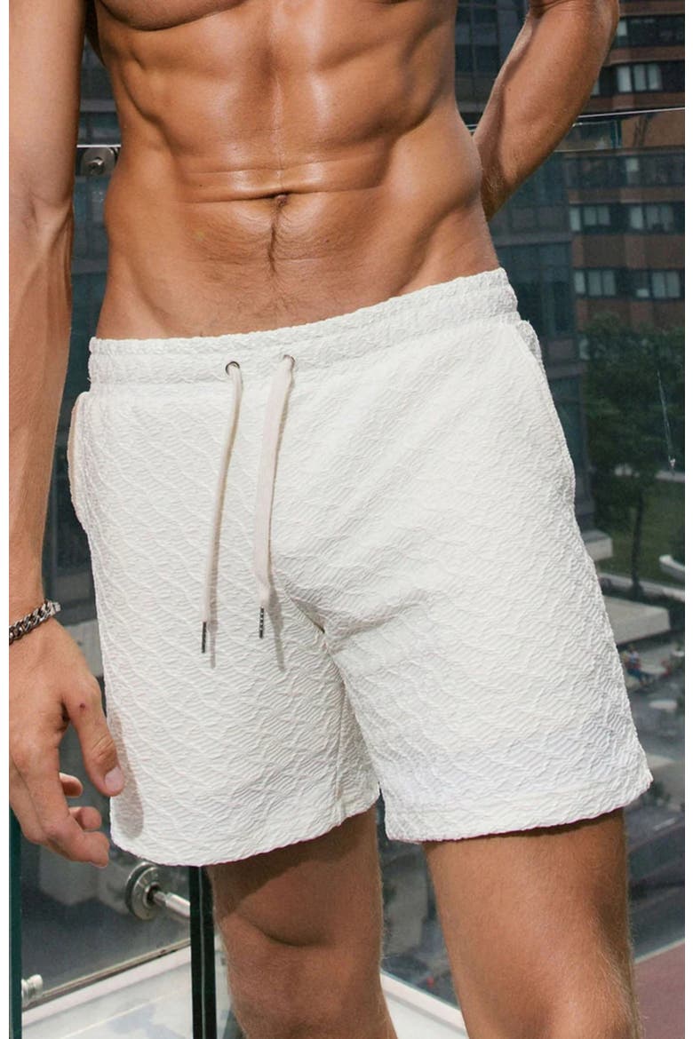 Miles Swim Shorts, Alternate, color, Cream