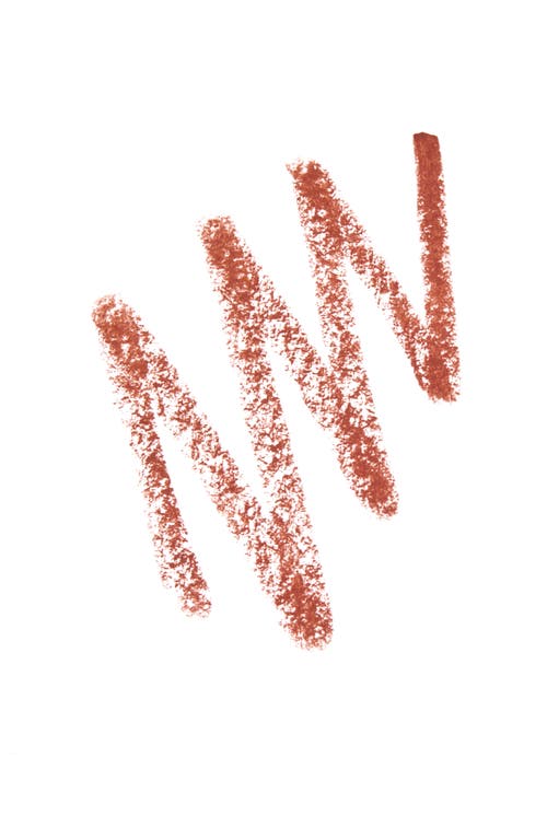 Ortega Beauty Agave Glow Color Stick In Para Siempre