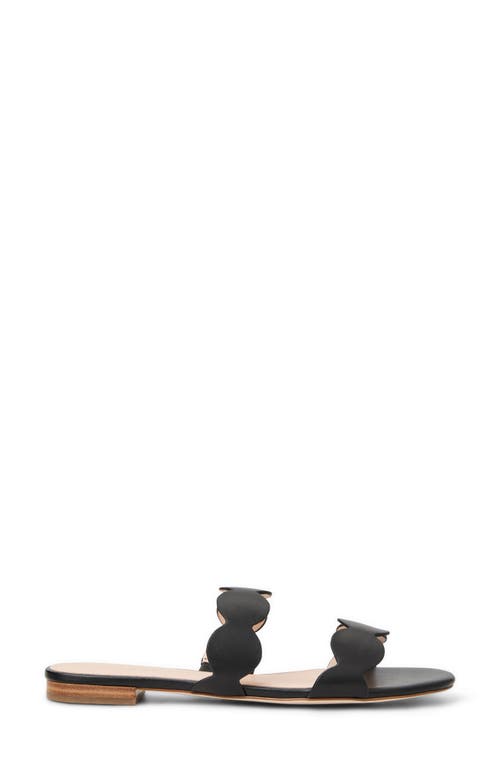 Jack Rogers Greglen Two-strap Sandal In Black