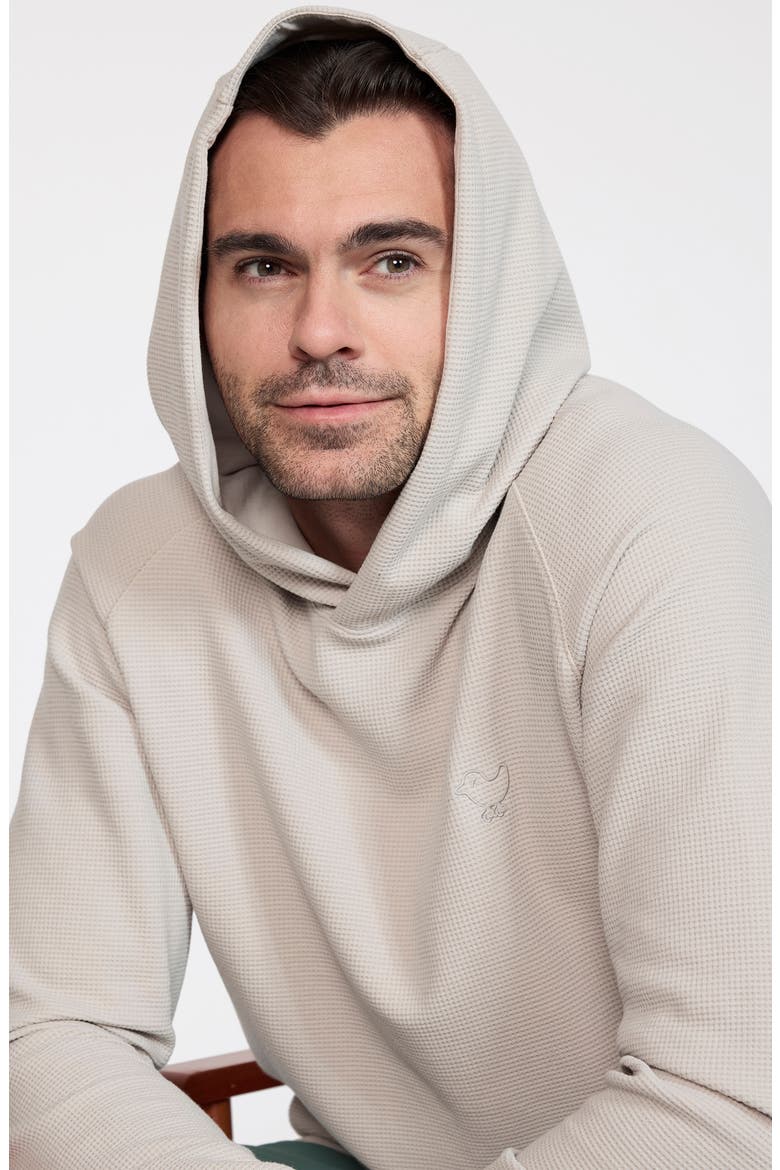 Waffle Hoodie, Alternate, color, DOVE