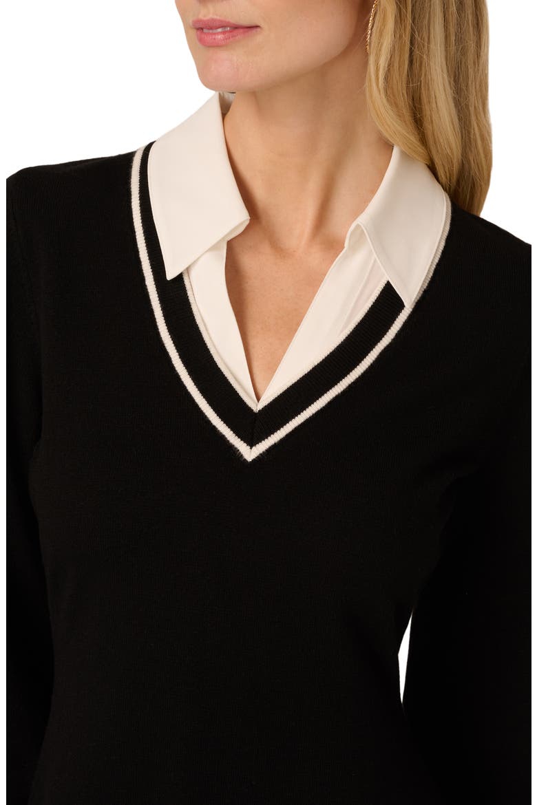 Collared Long Sleeve Twofer Sweater Dress, Alternate, color, BLACK/ IVORY