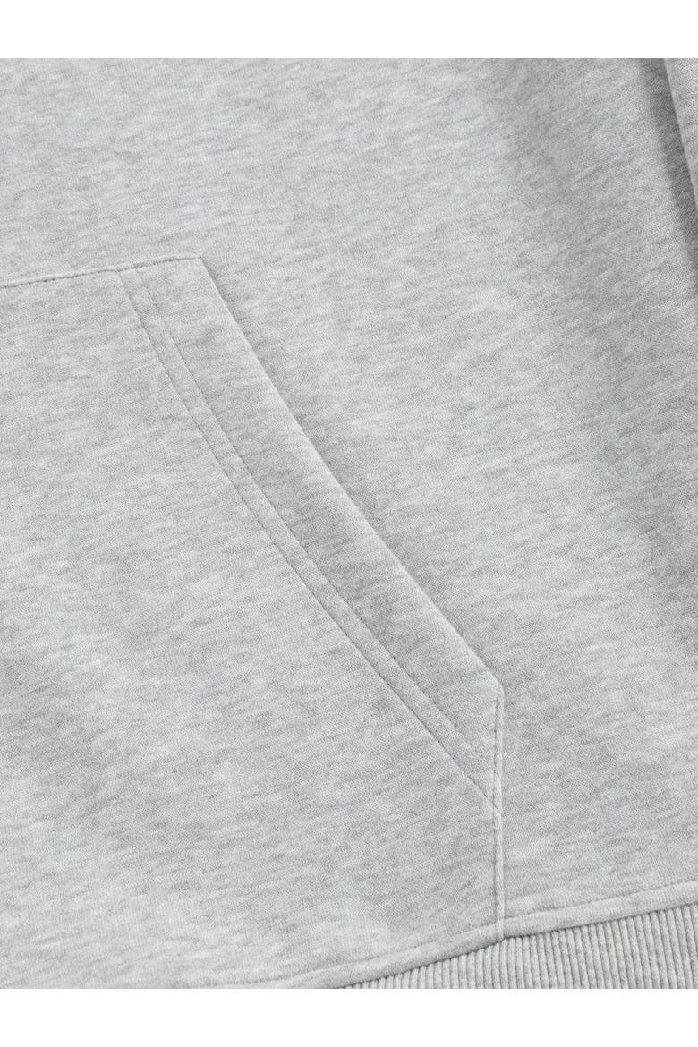 Dachshund Pullover Hoodie, Alternate, color, Grey