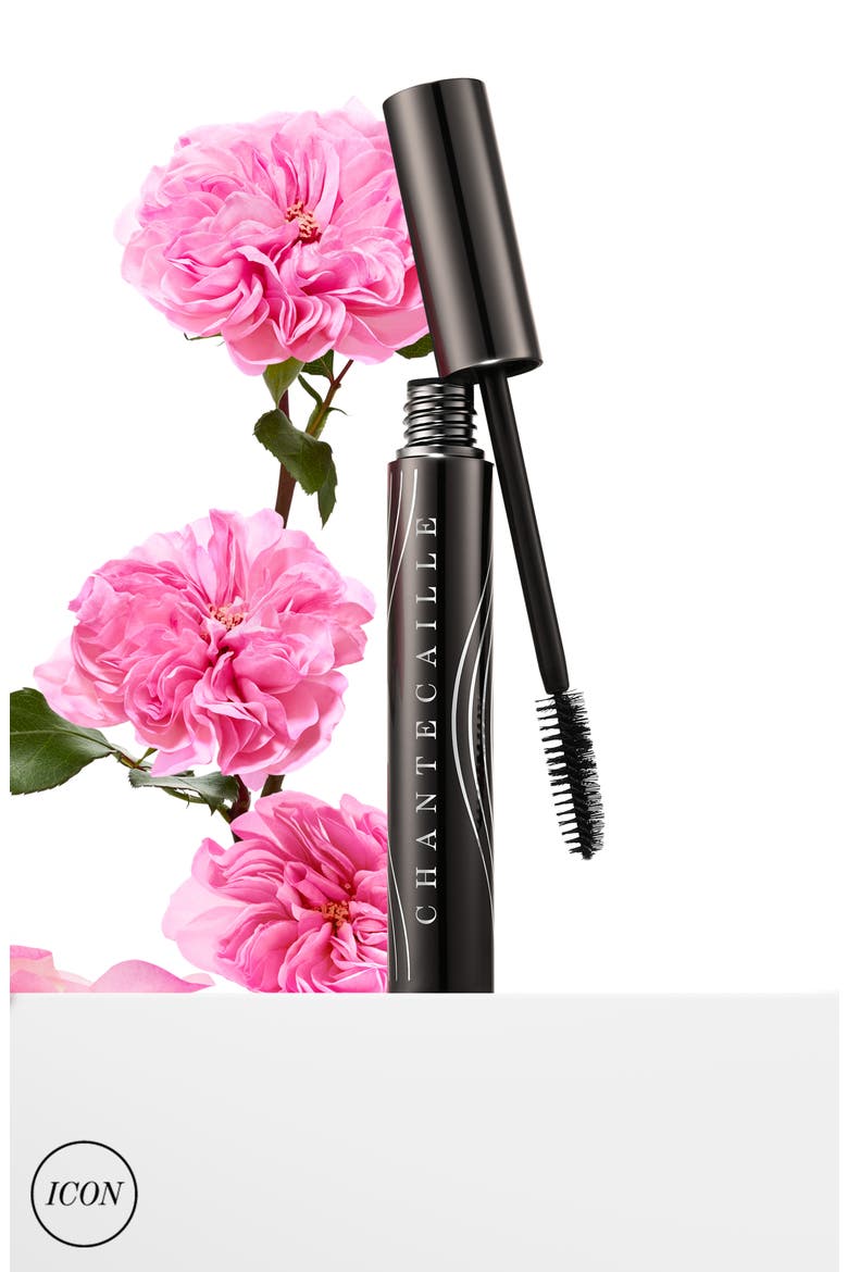 Faux Cils Mascara Duo USD $148 Value, Alternate, color, NO COLOR