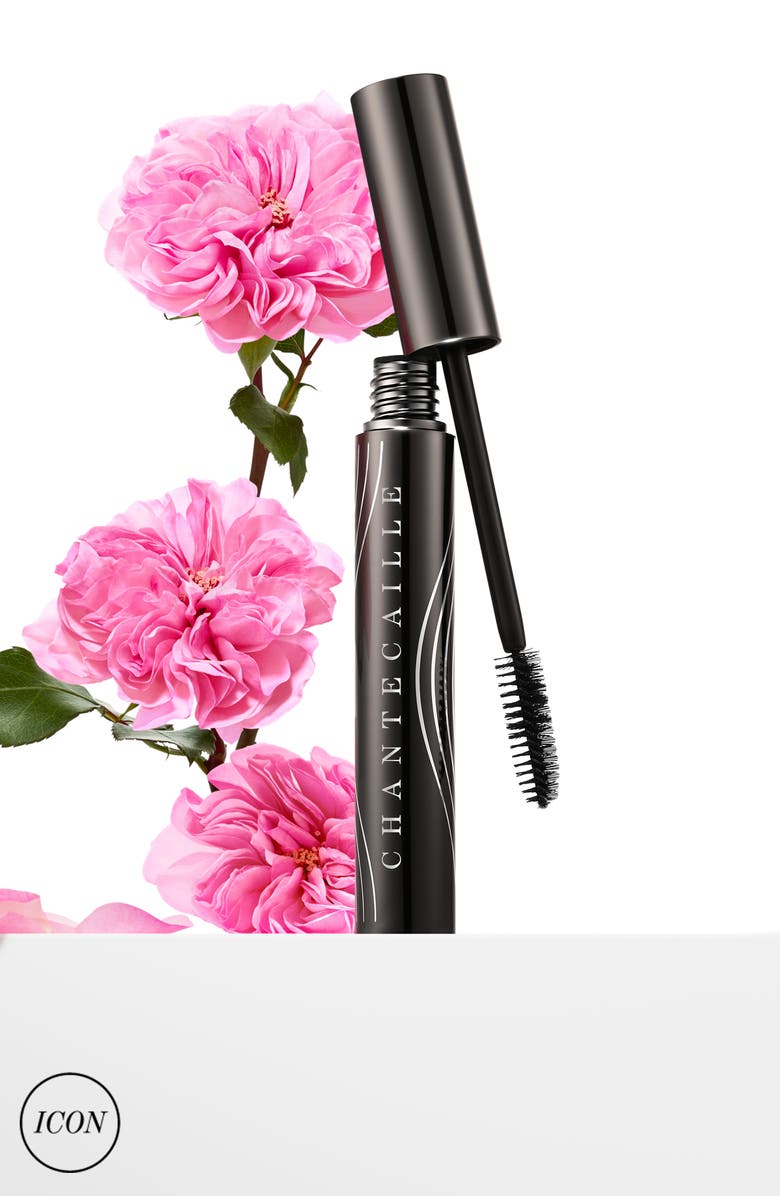 Chantecaille Faux Cils Mascara Duo USD $148 Value, Alternate, color, 