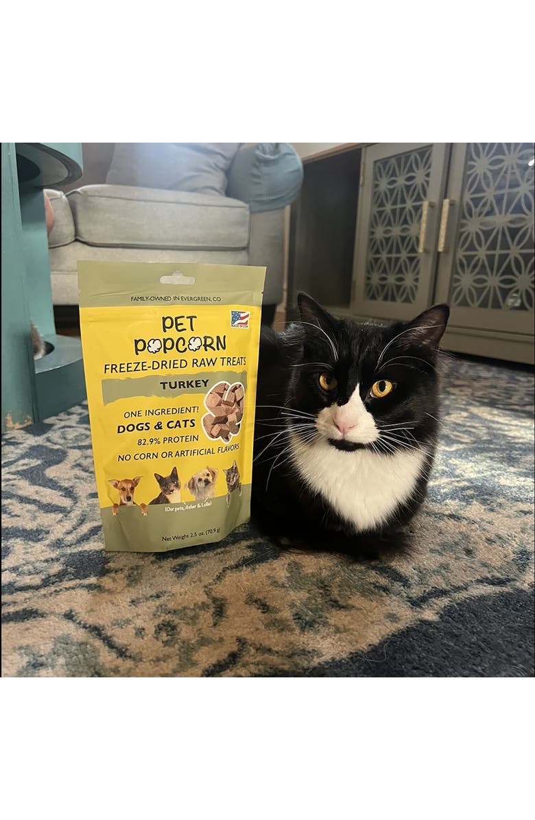 Pet Popcorn Freeze Dried Raw Treats, Turkey Breast, 2.5oz Bag, Dog & Cat Snacks, Alternate, color, 