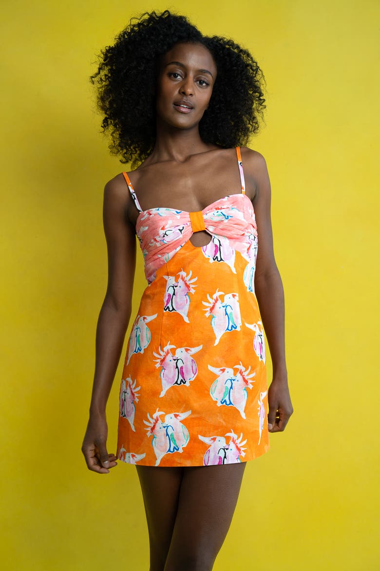 Minnie Dress, Alternate, color, Cockatoos