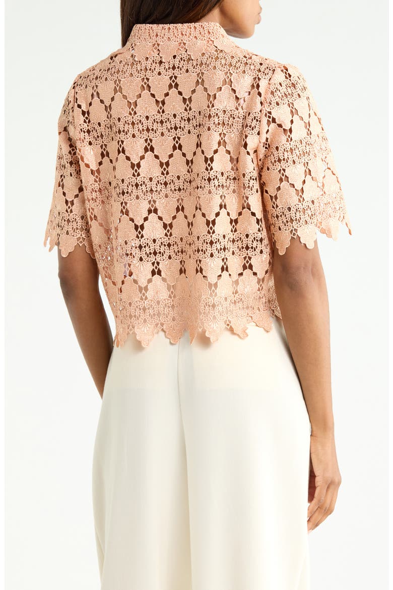 Lace Button-Up Shirt, Alternate, color, BLUSH