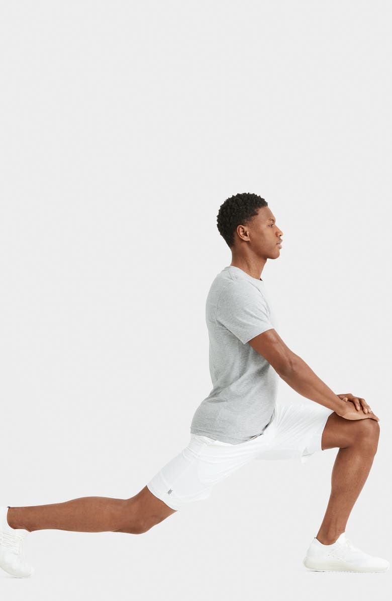 Rhone Mako Lined Shorts, Alternate, color,