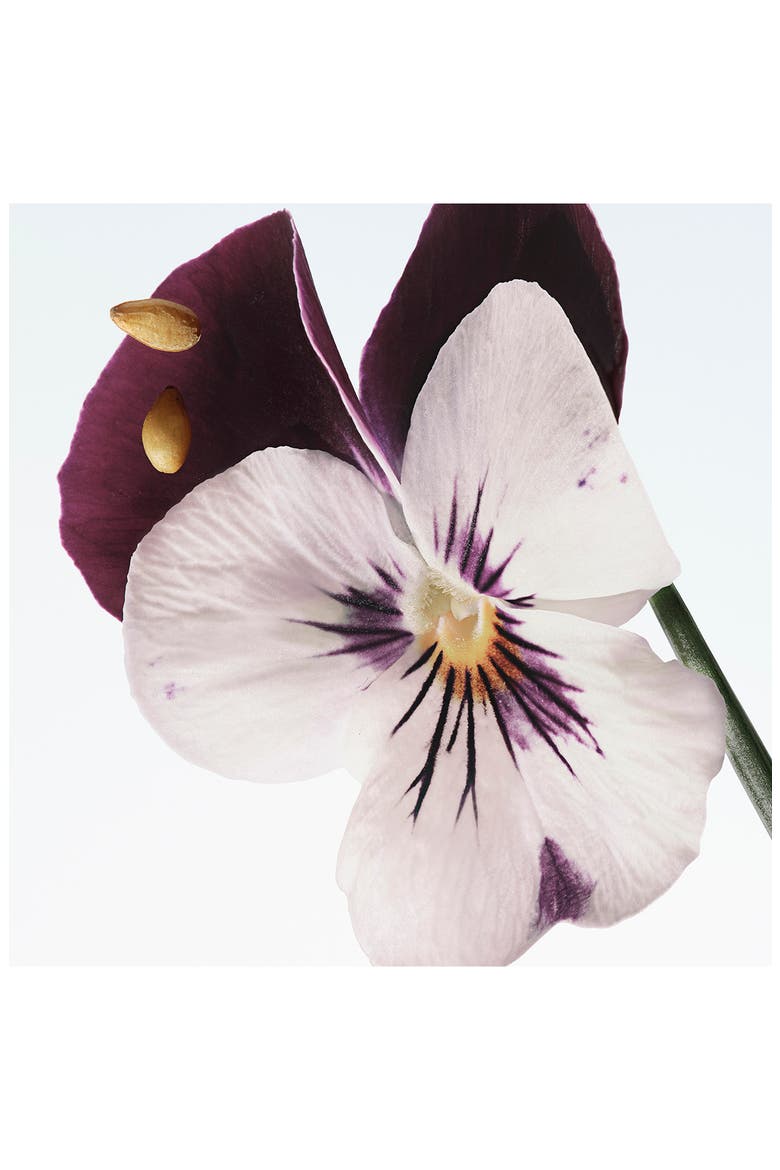 Velvet Violet Eau de Parfum, Alternate, color, REGULAR