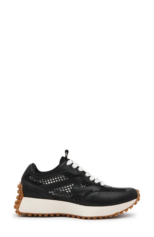Steve Madden Campo Sneaker In Black Mesh