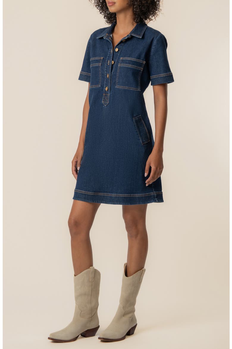 Tatiana Denim Dress, Alternate, color, PLAN