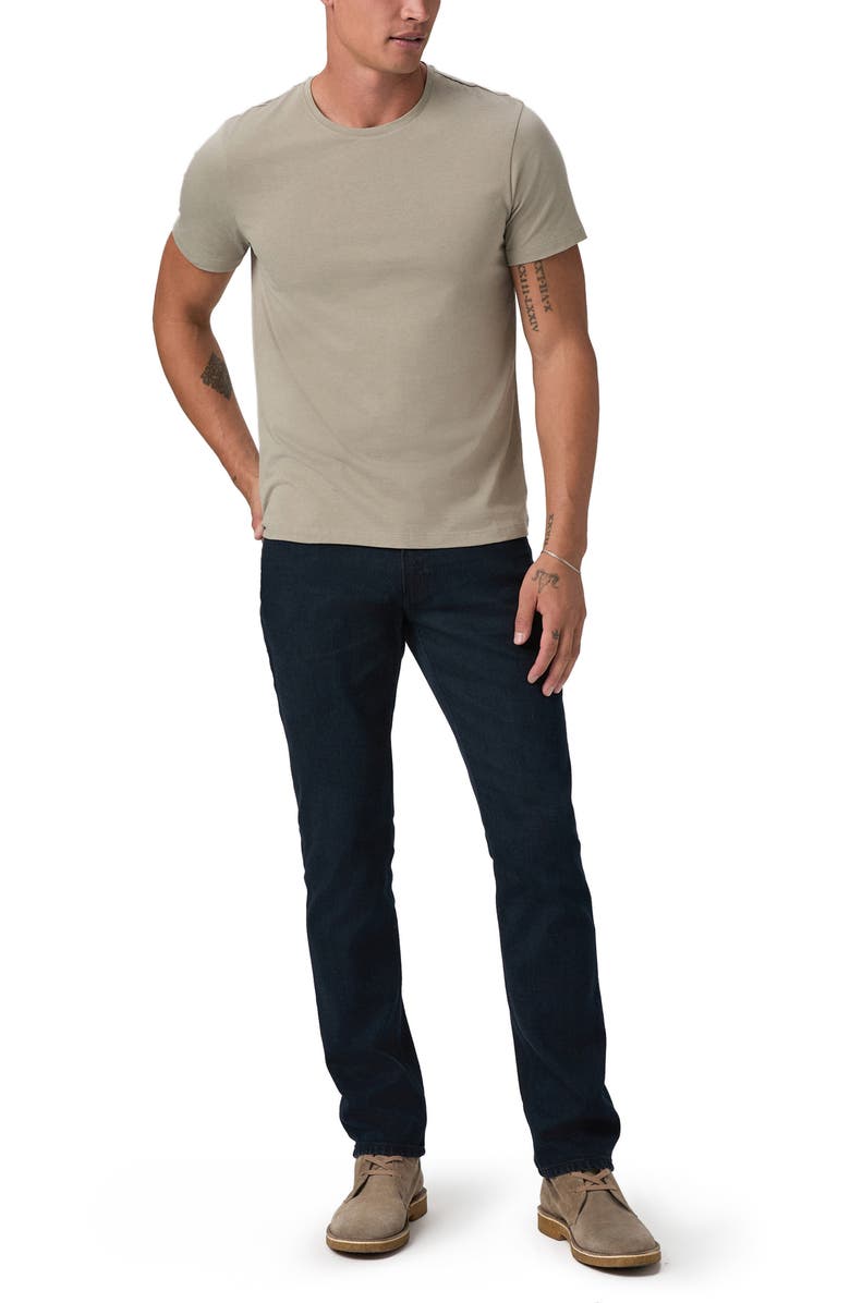 PAIGE Sorden Pima Cotton Crewneck T-Shirt, Alternate, color, Echo