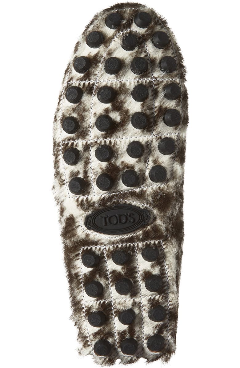 Tod's Genuine Calf Hair Penny Loafer, Alternate, color, Tmoro/ Bianco