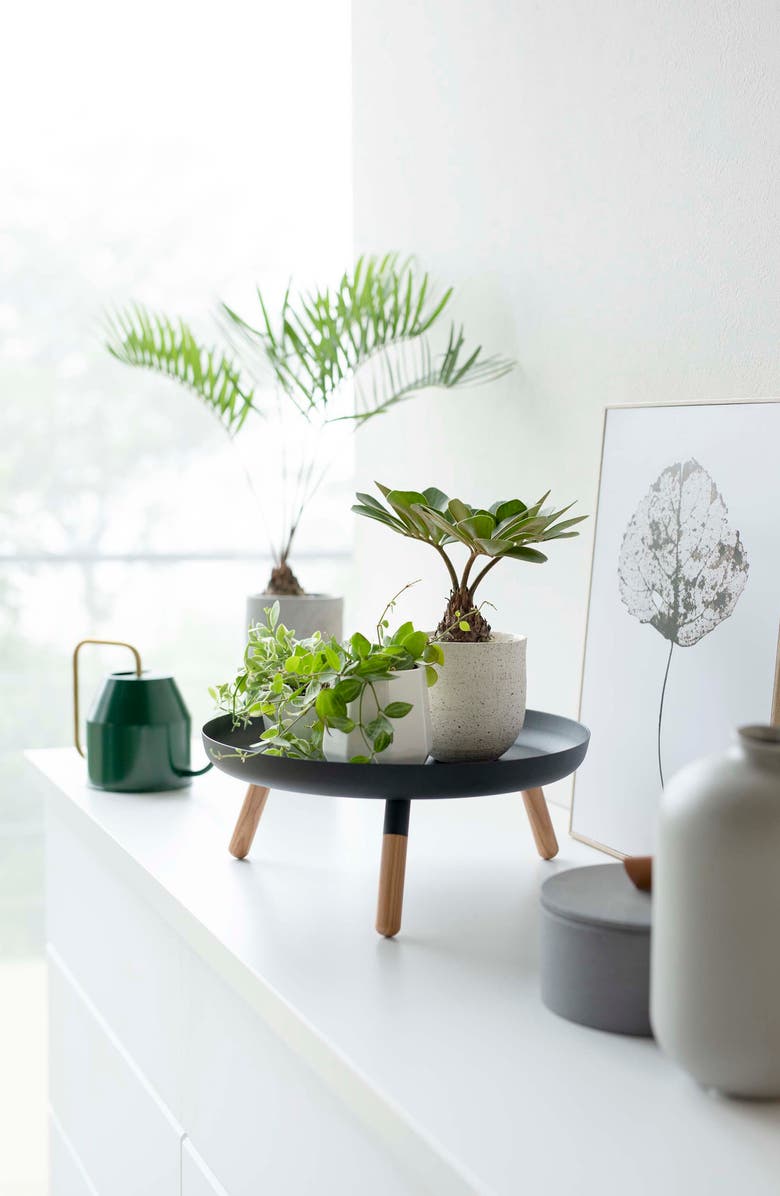 Yamazaki Three-Leg Tray Table, Alternate, color, Black