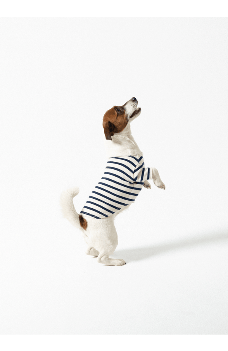 Saint James PARISIAN PUP - Authentic Breton Shirt for Dog, Alternate, color, Ecru/Navy