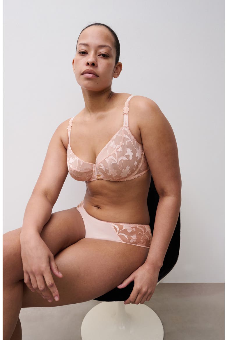 Idyll Embroidered Tulle & Microfiber Hipster Briefs, Alternate, color, TAFFETA PINK