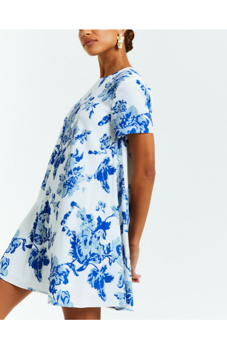 Mestiza New York Cecily Mini Dress, Alternate, color,