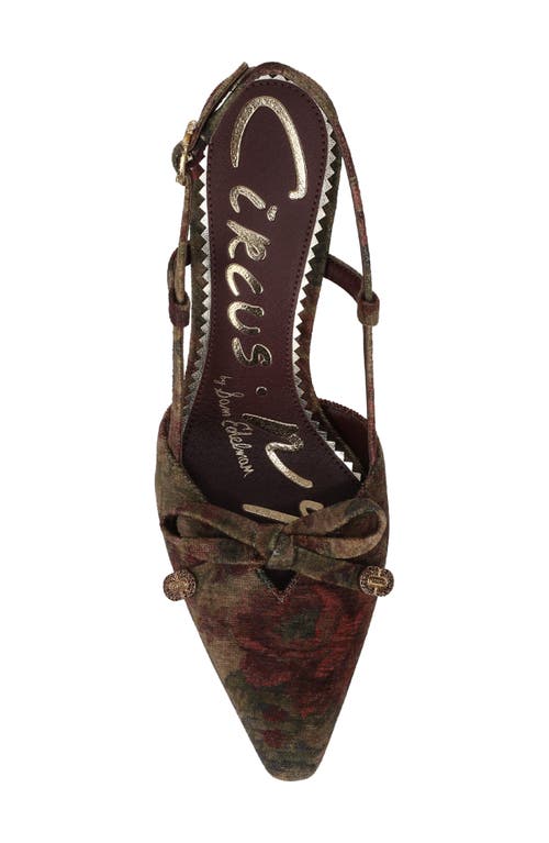 Circus Ny By Sam Edelman Monica Slingback Pump
