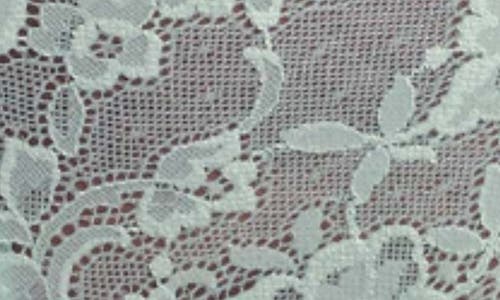 Montelle Intimates Brazilian Lace Panties In Seafoam