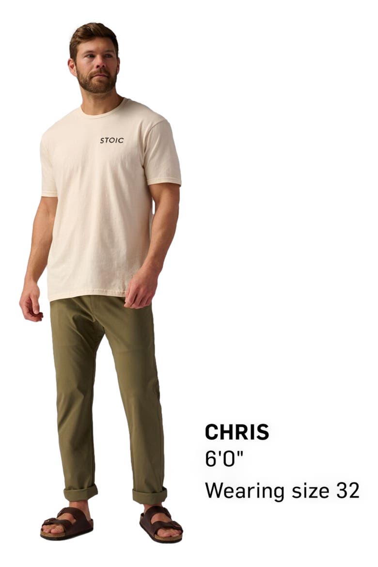 Wasatch Ripstop Everyday Pant - Men's, Alternate, color, Kalamata