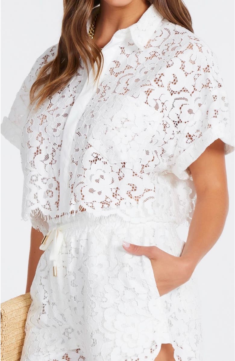 Bishop + Young Josephine Lace Top, Main, color, Salt
