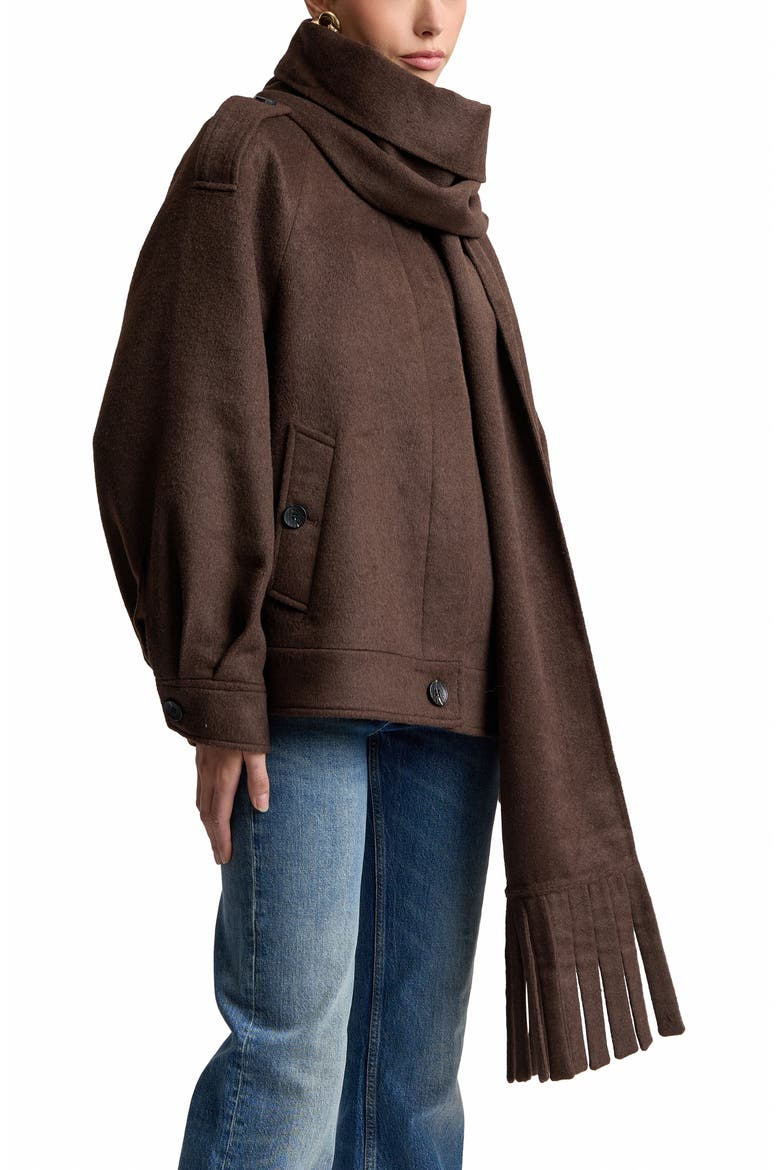 Oversized Coat with Detachable Scarf, Alternate, color, SABLE
