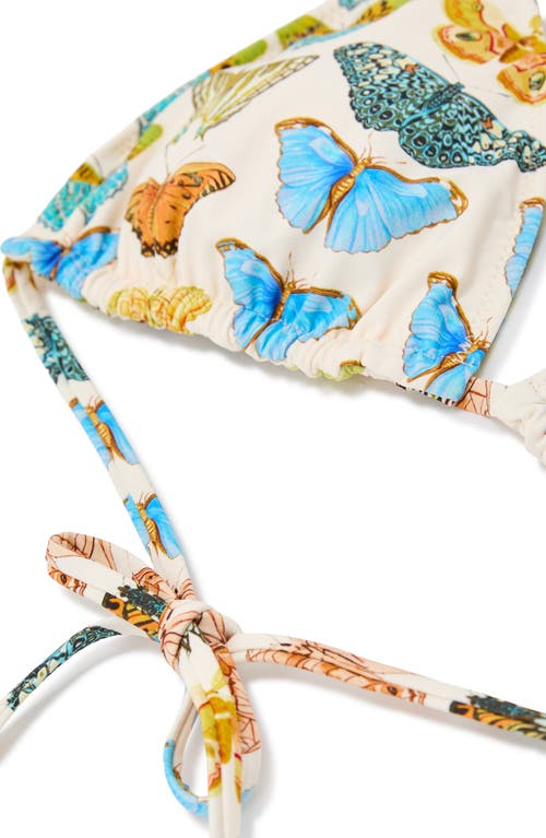 Reiss Thia Butterfly Triangle Bikini Top In Multi