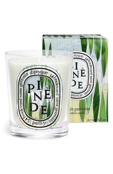 Pinède (Pine Grove) Classic Candle