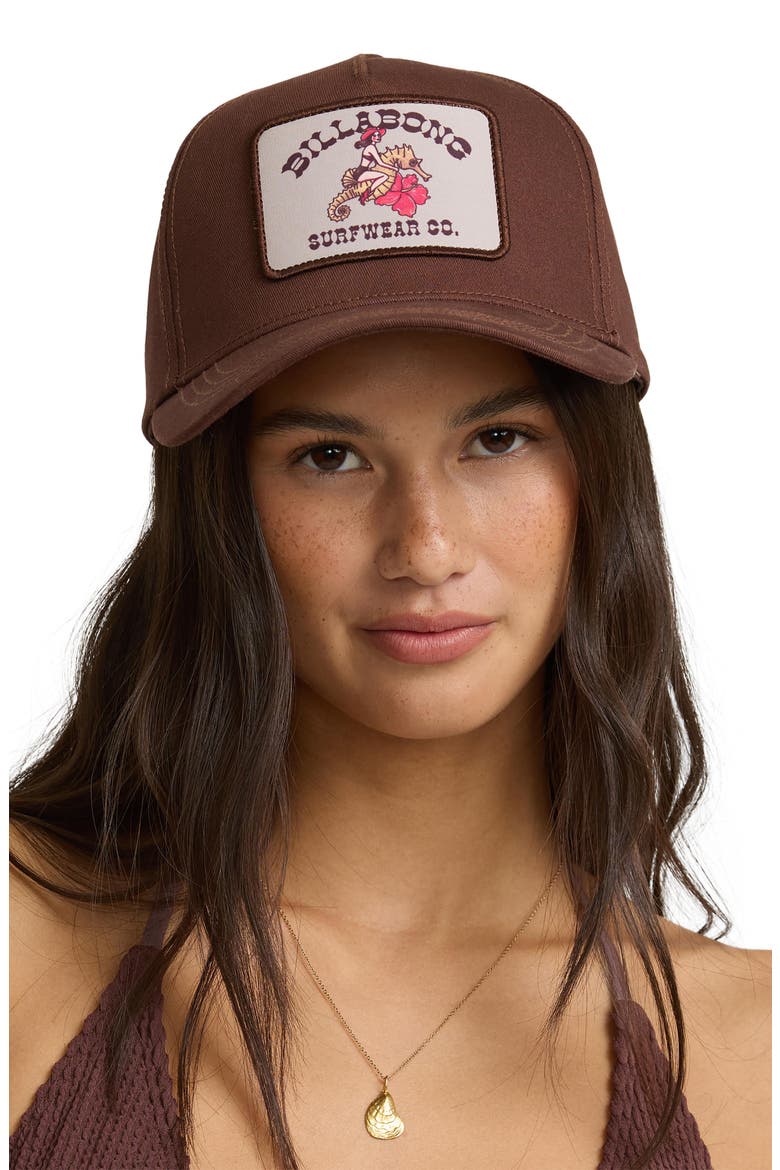 Classic Baseball Cap, Alternate, color, TEAK