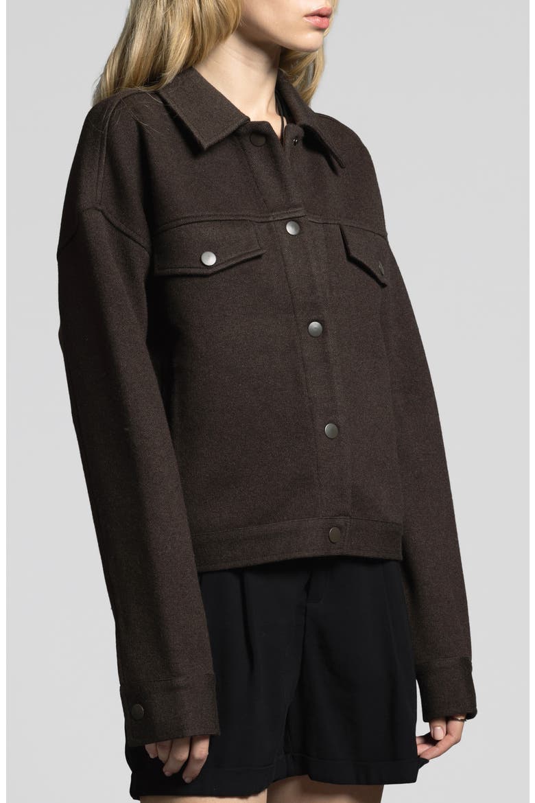 Abela Oversize Jacket, Alternate, color, ESPRESSO